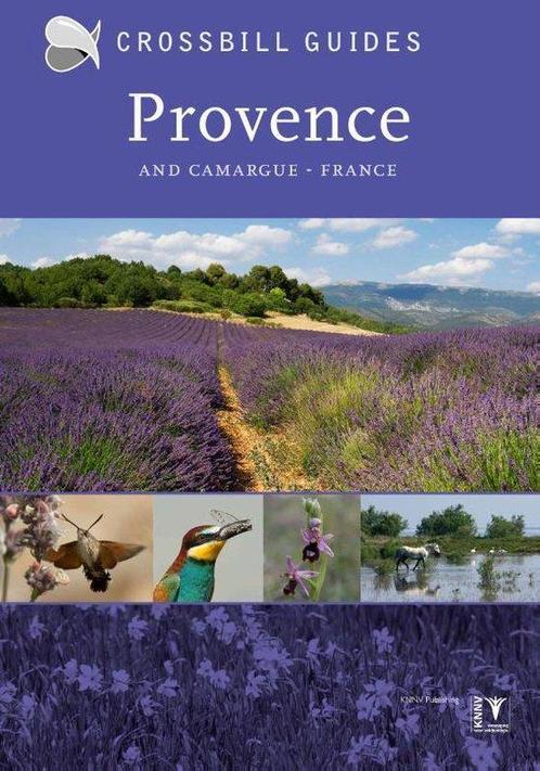 9789491648168 PROVENCE AND CAMARGUE, FRANCE, Boeken, Studieboeken en Cursussen, Nieuw, Verzenden