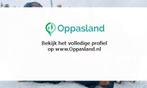 Marieke zoekt een oppas in Arnhem voor 2 kinderen op dins..., Vacatures, Vacatures | Juridisch en Fiscaal