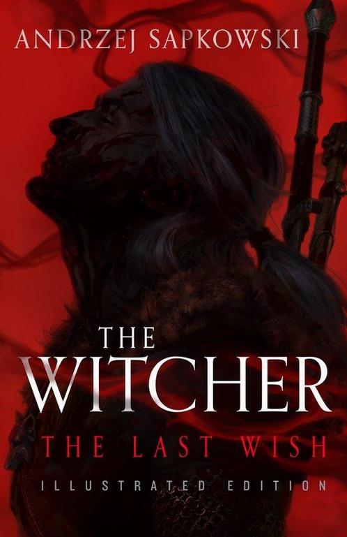 9780316333528 Witcher-The Last Wish | Tweedehands, Boeken, Romans, Zo goed als nieuw, Verzenden