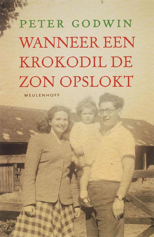 WANNEER EEN KROKODIL DE ZON OPSLOKT 9789029074919 P. Godwin, Boeken, Romans, Gelezen, Verzenden
