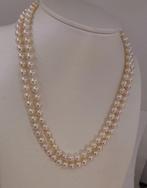 Halsketting 6x6,5 mm dubbele Akoya-parel, Sieraden, Tassen en Uiterlijk, Kettingen, Nieuw