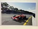 Ferrari - Brazillian Grand Prix, Interlagos, Sao Paulo,, Nieuw