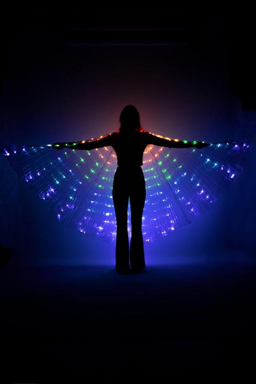 Grote Vleugels Parelmoer Led Lampjes Elfje Kostuum Iridescen, Kleding | Dames, Carnavalskleding en Feestkleding, Kleding, Nieuw
