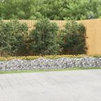 vidaXL Schanskorf gewelfd verhoogd 600x50x50 cm, Tuin en Terras, Verzenden, Nieuw, Metaal, Minder dan 60 cm