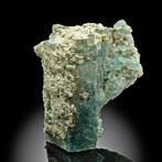 Hoogwaardige kwaliteit! Aquamarijn Kristallen op zwarte, Verzamelen, Mineralen en Fossielen