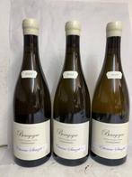 2023 Etienne Sauzet - Bourgogne Chardonnay - 3 Flessen (0.75, Verzamelen, Nieuw
