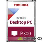 Toshiba P300 6TB 3.5  SATA III HDWD260UZSVA