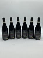 2017 Villa Canestrari, Plenum - Amarone della Valpolicella, Nieuw