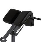 Toorx Professional WBX-B2600 Back Extension, Verzenden, Nieuw