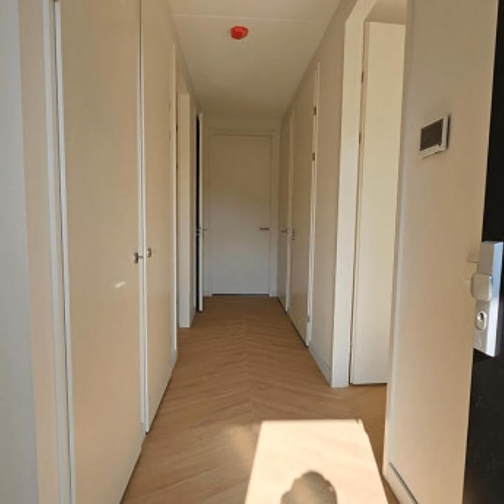 Tweekamerwoning met tuin, Huizen en Kamers, Kamers te huur, 50 m² of meer, Rotterdam