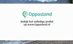 Annelie zoekt een oppas in Groningen voor 1 kind op dinsdag.