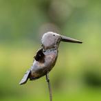 Figuur - Twee ijsvogels op een metalen staaf (2) - Metaal