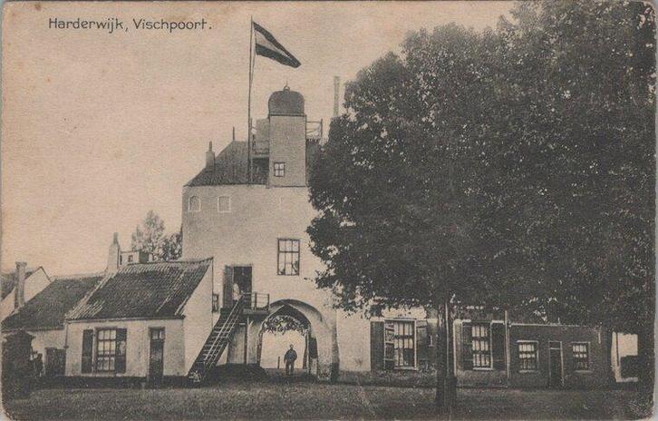 HARDERWIJK - Vischpoort, Verzamelen, Ansichtkaarten | Nederland, Verzenden