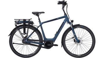 Pegasus Ravenna E8F NL 55cm beschikbaar voor biedingen