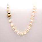 Vintage/antieke parel collier met gouden slot | 42 cm, Gebruikt, Overige kleuren, Ophalen of Verzenden, Met edelsteen