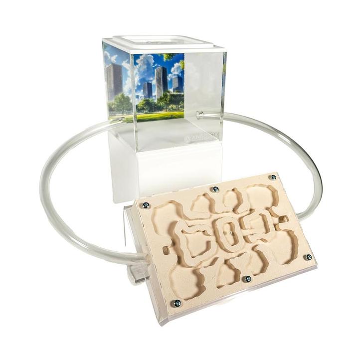 Mierenboerderij Gips Master Set, Dieren en Toebehoren, Insecten en Spinnen