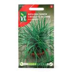 Bieslookzaad | VT (Chinese), Verzenden