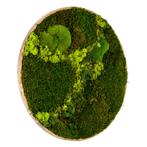 Mosschilderij Rond Ongelakt Eiken - Svendborg Lentegroen, Nieuw