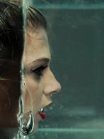 Cédric Brion - Aquarium - XXL, Antiek en Kunst