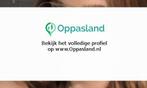 Amber zoekt een oppas in Amsterdam voor 2 kinderen voor 7..., Vacatures, Vacatures | Schoonmaak en Facilitaire diensten