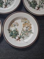 Villeroy & Boch - Ontbijtbord (7) - Botanica -, Antiek en Kunst
