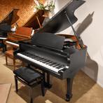 Sebastian Steinwald GP-168 Black Jewel zilver vleugel, Nieuw