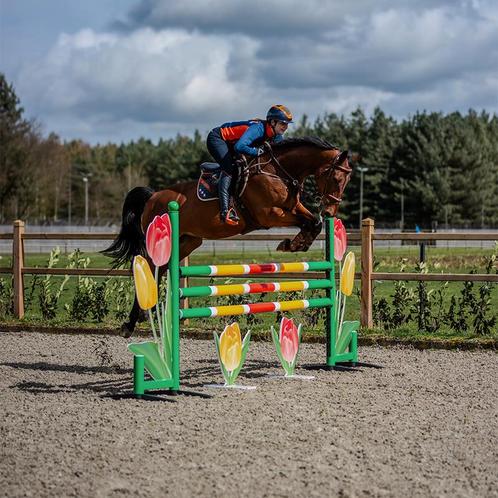 Hindernis Tulp, Dieren en Toebehoren, Paarden en Pony's | Overige Paardenspullen, Springen, Nieuw, Verzenden