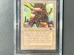 MTG Graded card - Magic: The Gathering - Antiquities -, Nieuw