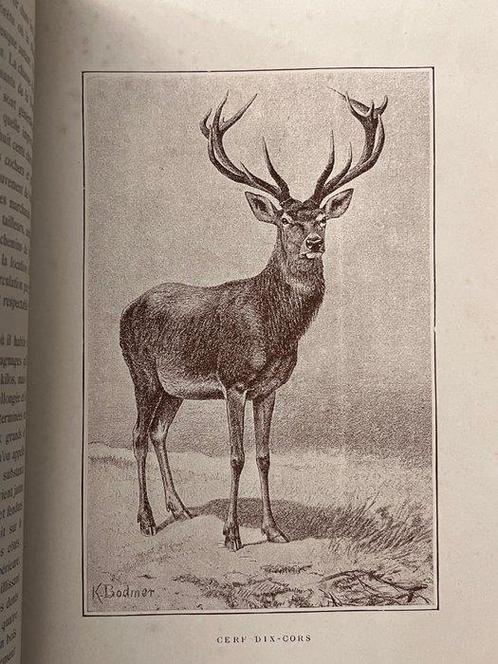 Le Couteulx - Manuel de vénerie Française - 1890, Antiek en Kunst, Antiek | Boeken en Bijbels