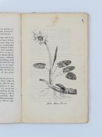 B.J. Meijer - Merkwaardige waarnemingen van behandeling en, Antiek en Kunst