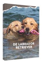 De Labrador Retriever | Cindy Schwering | 9789492284044, Zo goed als nieuw, Cindy Schwering
