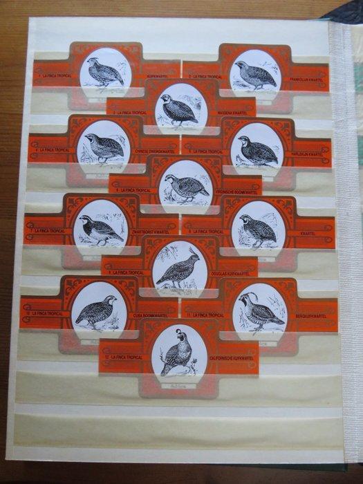 Themacollectie - Boek sigarenbandjes (cigar labels),, Antiek en Kunst, Antiek | Speelgoed