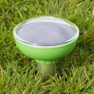 Woelmuis verjager | Isotronic (Zonne-energie, 700 m²), Dieren en Toebehoren, Overige Dieren-accessoires, Nieuw, Verzenden