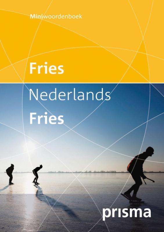 Fries Nederlands Nederlands Fries 9789049104726, Boeken, Wetenschap, Zo goed als nieuw, Verzenden