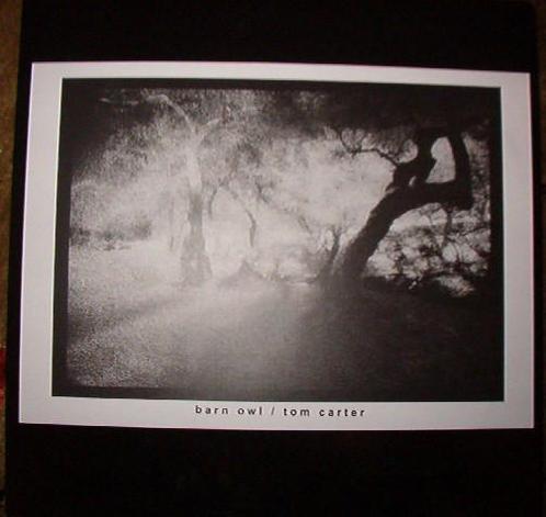 LP gebruikt - Barn Owl - Barn Owl / Tom Carter, Cd's en Dvd's, Vinyl | Overige Vinyl, Zo goed als nieuw, Verzenden