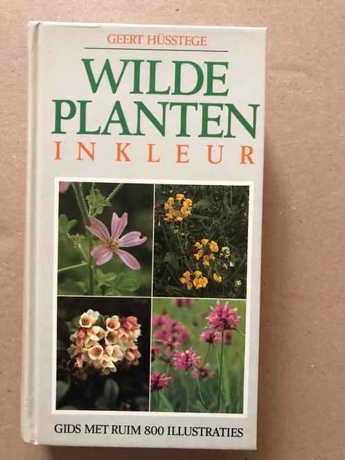 Wilde planten in kleur - Gids ruim 800 illustraties - NIEUW, Boeken, Natuur, Zo goed als nieuw, Bloemen, Planten en Bomen, Ophalen of Verzenden