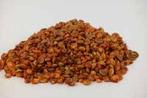 Umboniumschelpen oranje, 200 gram, Hobby en Vrije tijd, Ophalen of Verzenden, Nieuw
