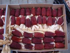Aardbeienmais zaden gram. en kleinverp - 1 kg, Hobby en Vrije tijd, Knutselen, Nieuw, Ophalen of Verzenden