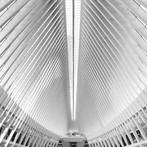 Fabio Accorrà - The white geometries