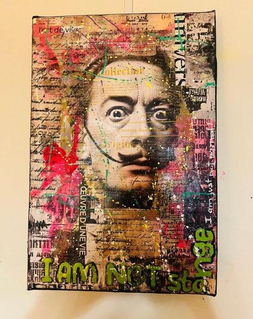 Artmony - Daly pop street art, Antiek en Kunst, Kunst | Schilderijen | Modern
