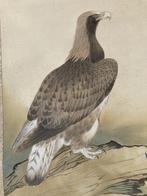 Hangende WandScroll, Hawk () - Shiozaki Itsury ()