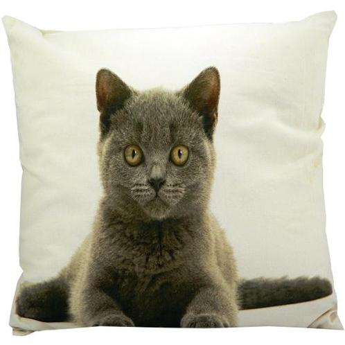 canvas kussen britse korthaar 50x50cm*, Huis en Inrichting, Woonaccessoires | Overige, Verzenden