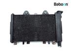 Radiateur Triumph Daytona 900 / T357 1991-1997, Verzenden, Gebruikt