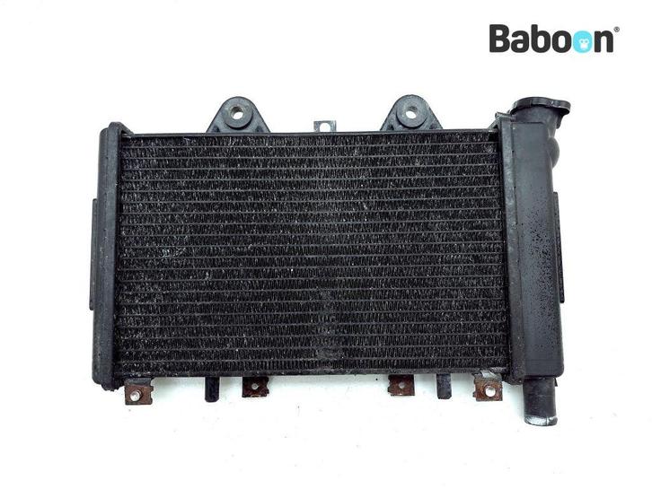 Radiateur Triumph Daytona 900 / T357 1991-1997, Motoren, Onderdelen | Overige, Gebruikt, Verzenden