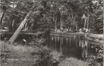DRIEBERGEN - Vijver in t Bos, Verzenden, Gelopen