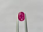 Zonder minimumprijs - 1 pcs Rood Robijn - 2.02 ct -, Nieuw