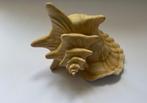 Herend - Beeldje - Large Conch Shell - Porselein, Antiek en Kunst