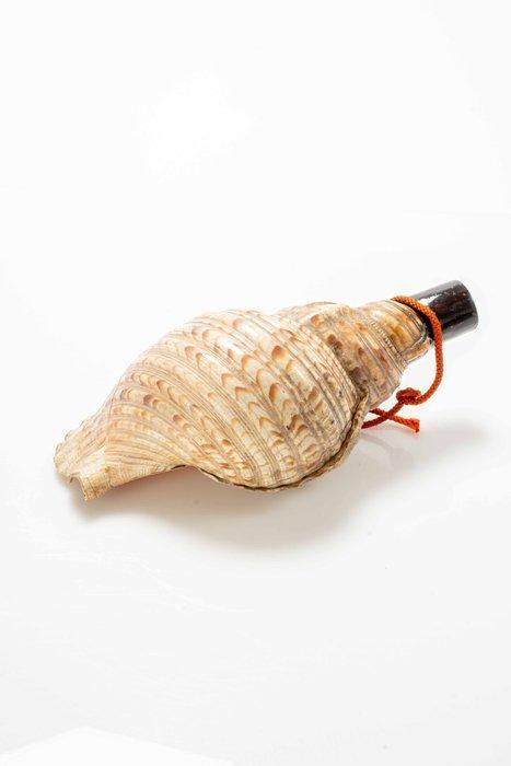 A fine and unusual conch shell Horagai  / jinkai  used, Antiek en Kunst, Antiek | Overige Antiek