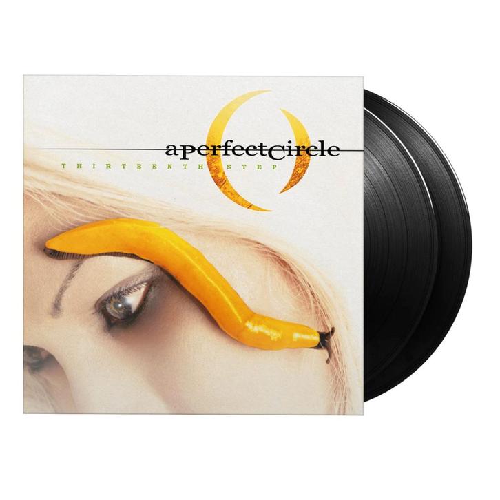 A Perfect Circle - Thirteenth Step, Cd's en Dvd's, Vinyl | Rock, Nieuw in verpakking, 12 inch