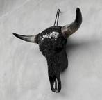 Koe Gesneden schedel - Bos Taurus - 42 cm - 51 cm - 24 cm-